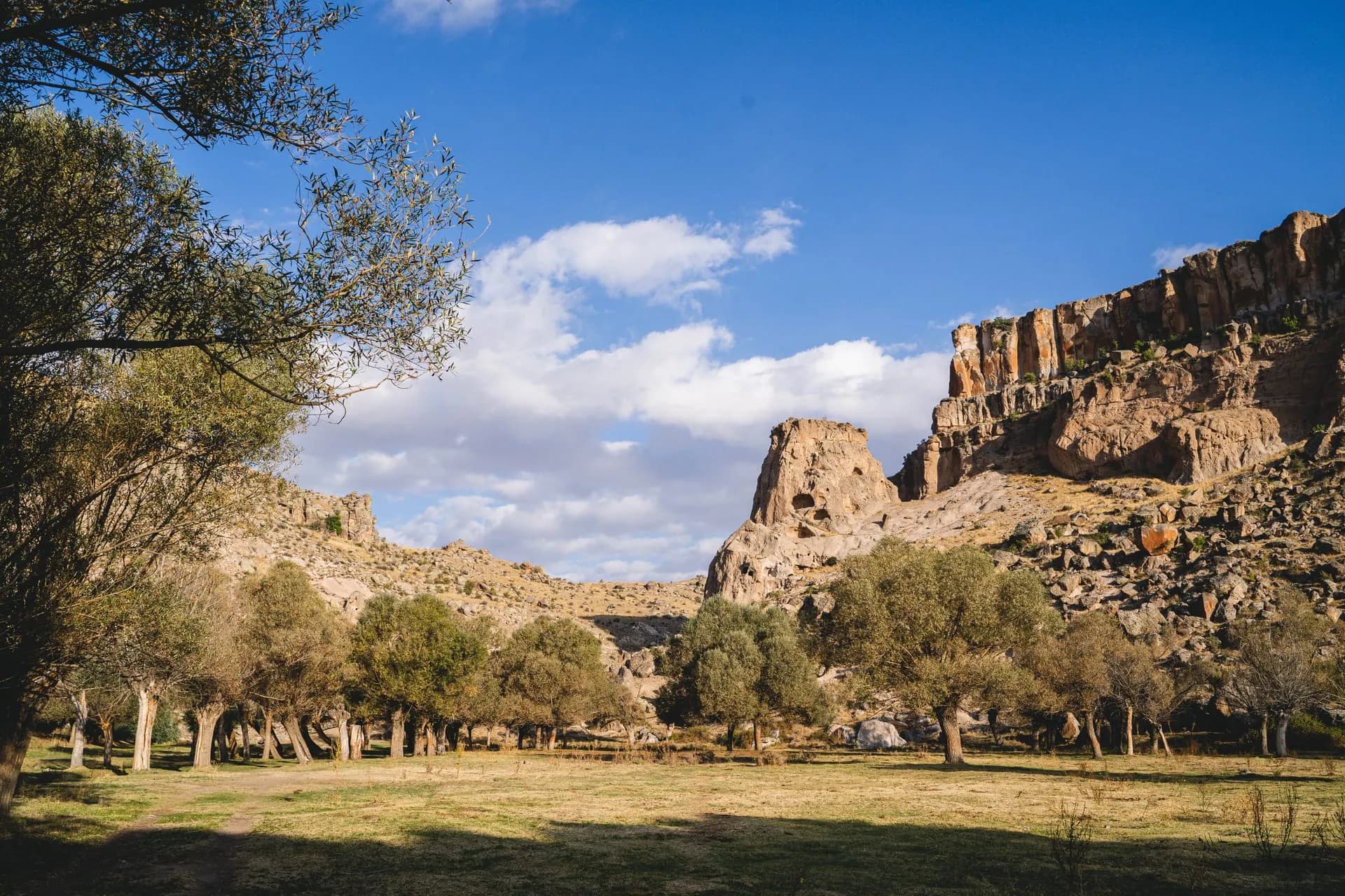 Green canyon and tuff cliffs along the Melendiz stream in Ihlara Valley