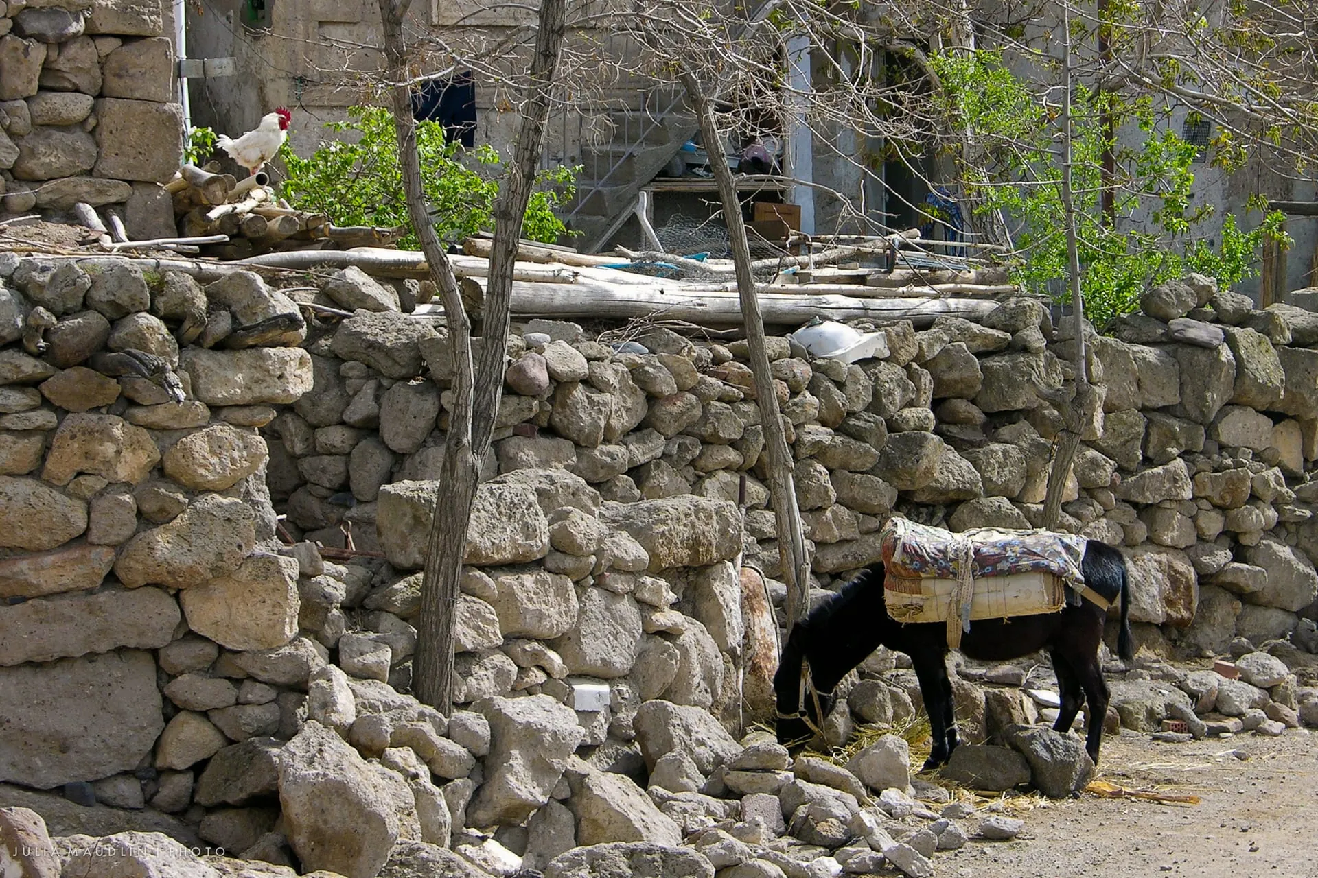 Güzelyurt’ta taş evler arasında eski bir sokak