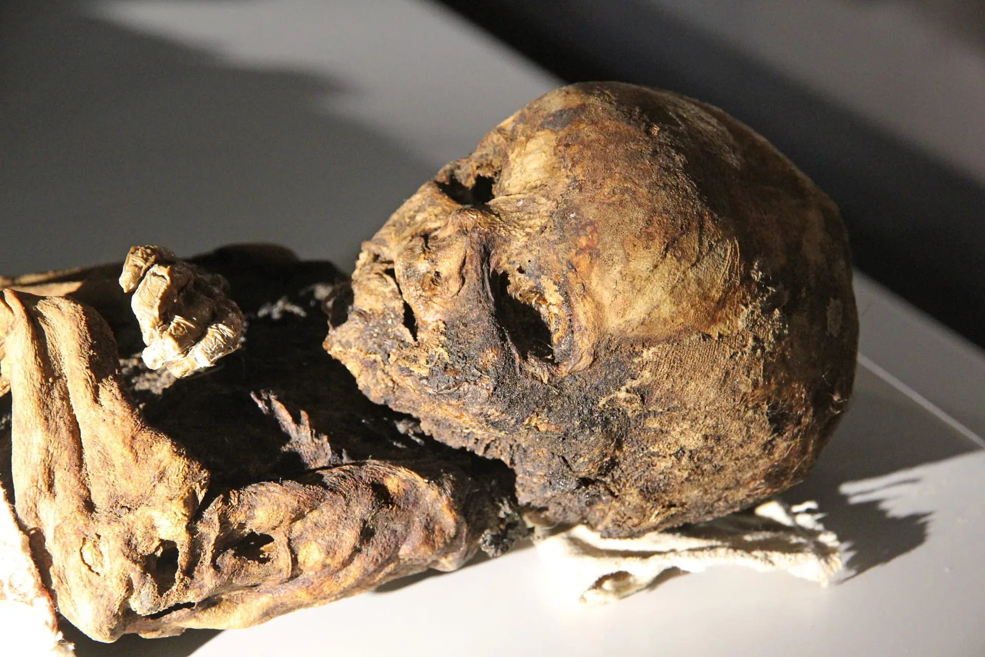 Mummies from the Çanlı Church on display in Aksaray Museum