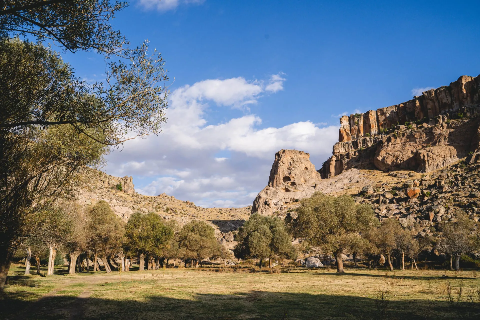 Green canyon and tuff cliffs along the Melendiz stream in Ihlara Valley